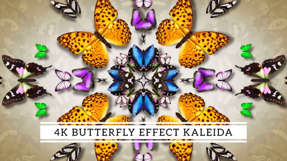 4K Butterfly Effect Kaleida