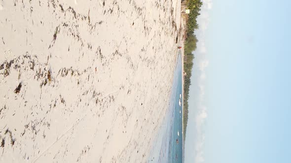 Zanzibar Tanzania  Vertical Video Empty Beach Slow Motion alt