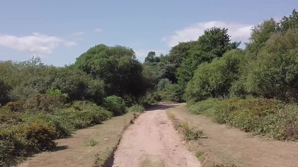 Ground view of deserted dirt road in Woodbury England. alt