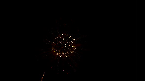 Beautiful shimmering fireworks blooming in the sky in celebration night