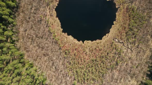 AERIAL: Top View of Deep Blue Lake in Forest