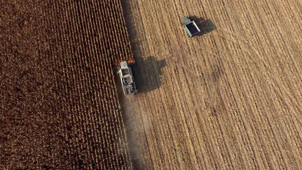 Aerial Drone View Flight Over Harvester Harvesting Dry Corn alt