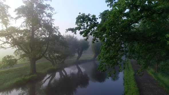 River and Trees Shrouded in Fog 