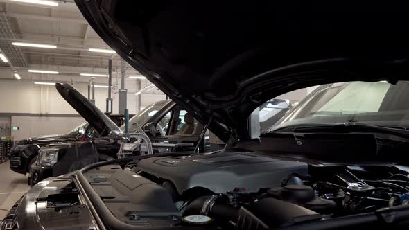 Bearded Car Service Worker Smiling To the Camera, Examining Cars at the Workshop alt