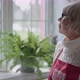 Side View Thoughtful Beautiful Senior Woman in Eyeglasses Looking Out the Window - VideoHive Item for Sale