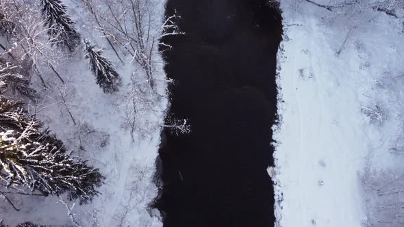 The drone flies over a small forest Brasla river. Aerial top down view of river.