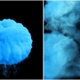 Blue Smoke Explosion 4K - VideoHive Item for Sale