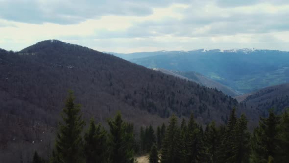 Stunning View to Mountain Covered with Pine Trees alt