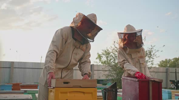 A Couple of Beekeepers Takes Out the Frame with Honey From a Bee Hive