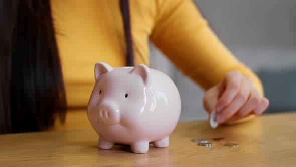 Domestic Economy alt