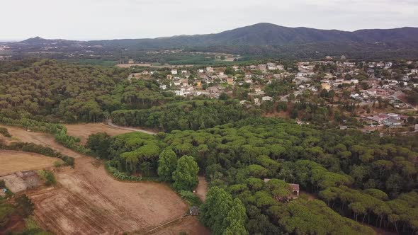 Aerial view of green forest around small town and large house nestled among trees alt