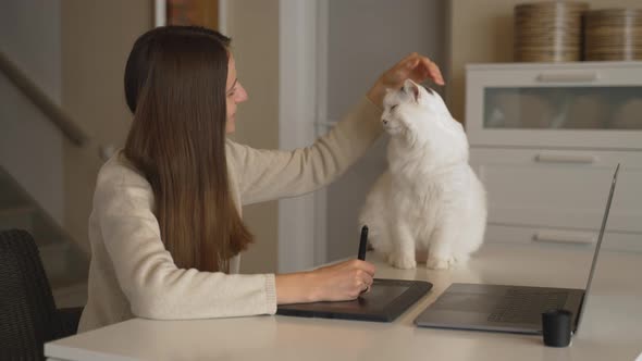 Young Beautiful Woman Strokes White Cat When Works on Laptop and Draws on Tablet