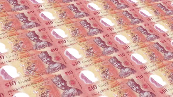 Brunei Money / 10 Brunei Dollar 4K alt