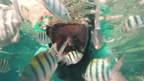 Man in Mask Diving, Snorkeling in Coral Reef School of Fish