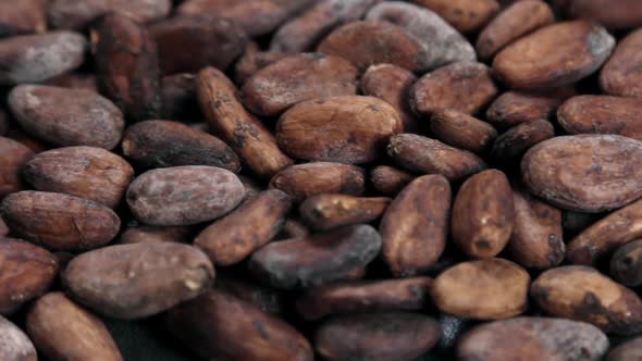 Roasted Cocoa Beans for Making Drinks Chocolate and Desserts