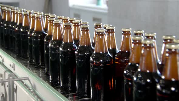 Conveyor Belt in Bottling Workshop, Bottles with Beer Are Moving and Transporting