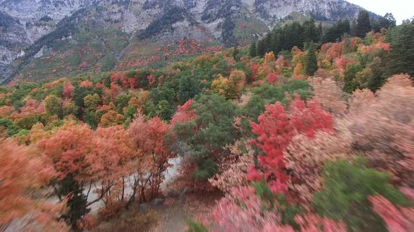 Aerial view of Fall color on landscape of foliage. alt