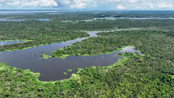 Stunning landscape of Amazon Forest at Amazonas State Brazil. alt