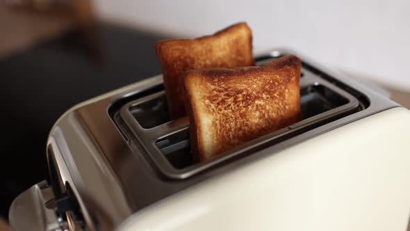 Roasted bread in white toaster. two delicious and toaster toasts. the process of frying toasts.