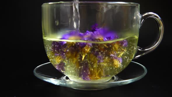 Tea from Myosotis flowers. alt