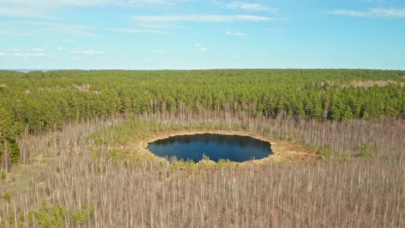 AERIAL: Isolated Lake in Forest on a Very Sunny warm Spring Day