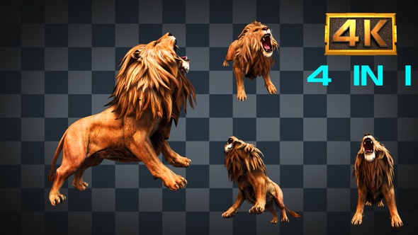 4K Lion Roar, Motion Graphics | VideoHive