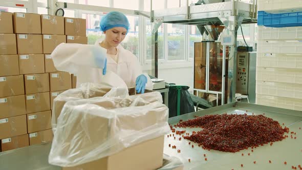 Factory Worker Packing Candies. Candy Factory. alt