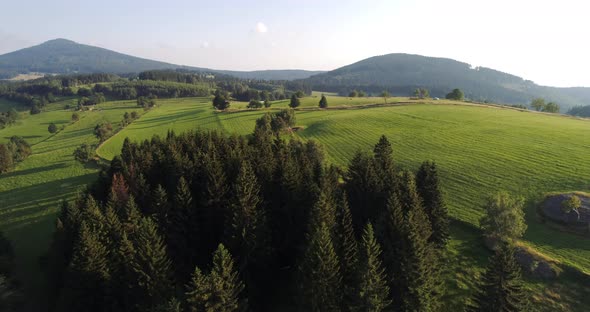 Beautiful View of Forest and Fields Aerial alt