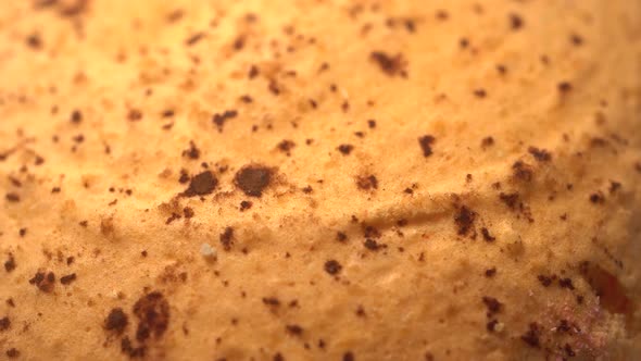 Rotation Yellow Dough With Chocolate Macaron Cookie Texture alt