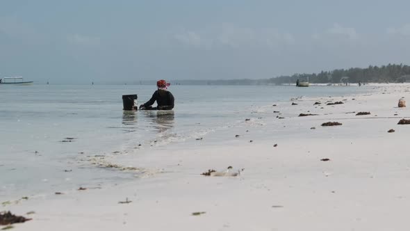 African Woman Collects Seafood Into Bucket Sitting in Water at Ocean alt