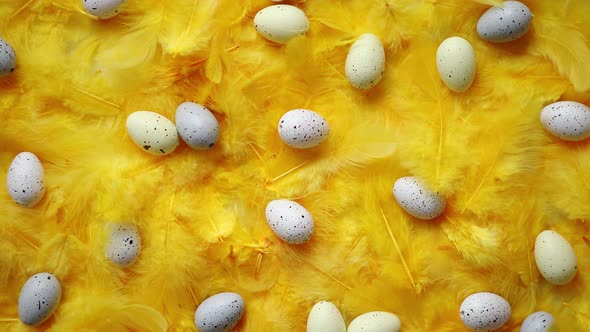 Composition of Pastel Easter Eggs Lie Among of Yellow Feathers for Holidays alt