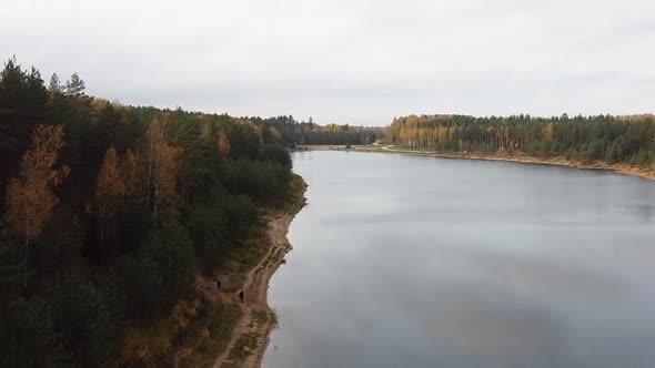 Aerial drone view of a colourful autumn forest next to a calm lake on an overcast day. Recorded in D alt