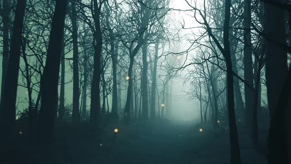 Fireflies in forest alley in dense fog. Dark, mysterious, fairytale landscape. alt