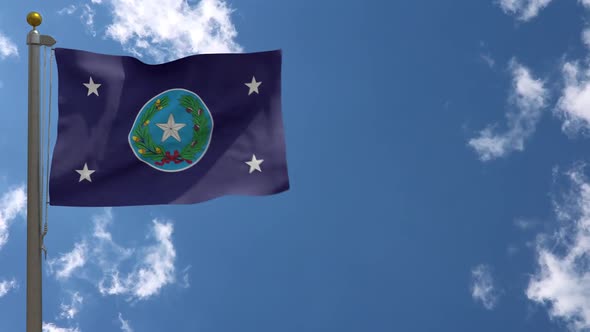 Governor Of Texas Flag (Usa) On Flagpole alt