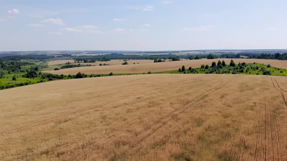 4 Agricultural Fields