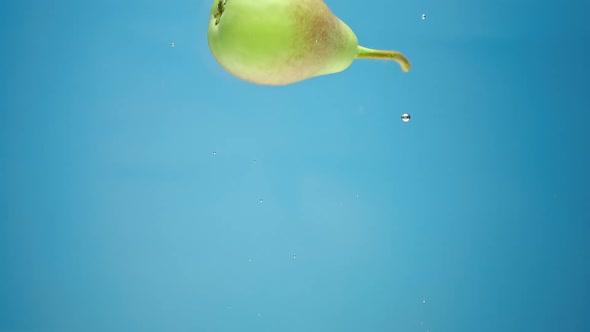 Redsided Yellow Pear Floats in Water alt