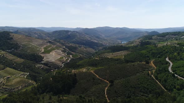 Douro River with Green Hills Covered Vineyards of Peso Da Regua Vila Real alt