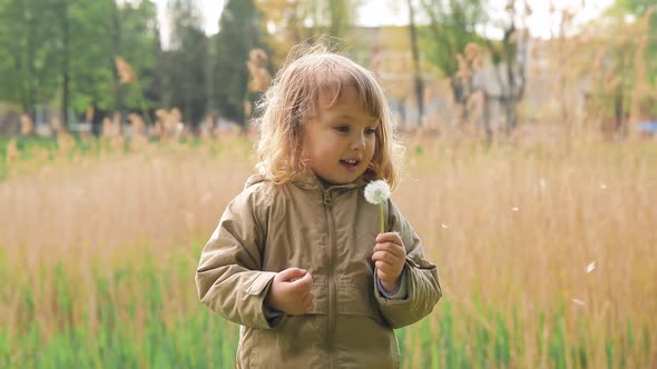 Happy Cute Light Hair Little Girl in Coat Blows on Dandelion in the Park. Slow Motion