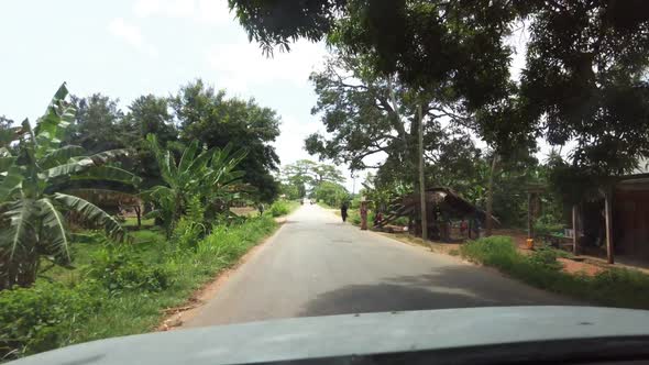 African Forests with Palms and Green Vegetation View From Driving Car Zanzibar alt