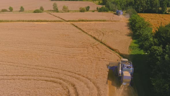 Combine Harvester Harvesting Ripe Wheat alt