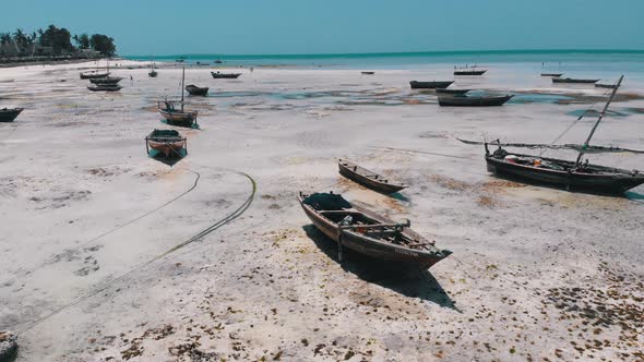 Lot of Fishing Boats Stuck in Sand Off Coast at Low Tide Zanzibar Aerial View alt