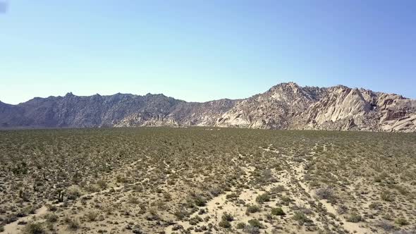 No one survives more than two days hereGorgeous aerial view flight panorama overview drone footage alt