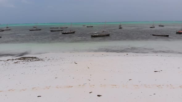 Lot Fishing Boats Stuck in Sand Off Coast at Low Tide Zanzibar Aerial View alt