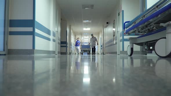 Patient Transportation in Hospital's Hallway