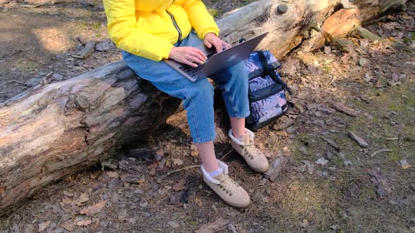 View of Unknown Woman Using Laptop While Sitting in Forest on Log on Sunny Fall or Spring Day