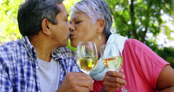 Senior couple kissing while drinking wine alt