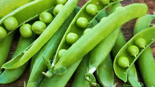 Fresh Ripe Green Peas in Pods and Shelled Peas