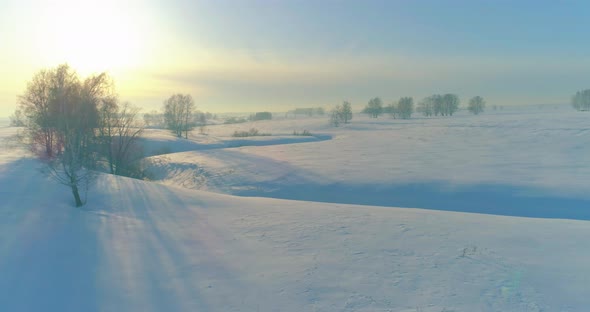 Aerial View of Cold Winter Landscape Arctic Field Trees Covered with Frost Snow Ice River and Sun alt