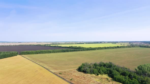 Aerial photography of agricultural fields in Russia. Beautiful views. Sunny day.