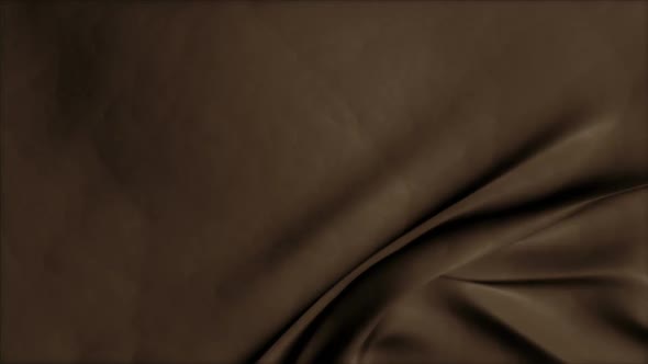 Brown Leather Bluescreen Transition